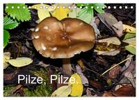 Vorderes Coverbild Pilze, Pilze (Tischkalender 2025 DIN A5 quer), CALVENDO Monatskalender