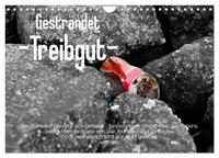 Vorderes Coverbild Gestrandet -Treibgut- (Wandkalender 2026 DIN A4 quer), CALVENDO Monatskalender