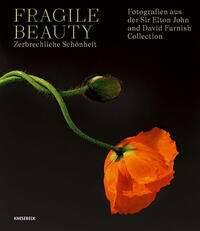 Vorderes Coverbild Fragile Beauty – zerbrechliche Schönheit