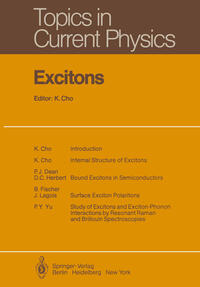 Vorderes Coverbild Excitons