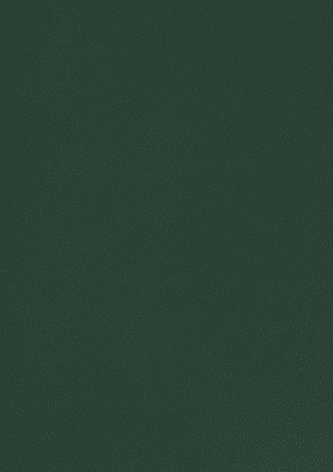 Rückseitencover Jagdtagebuch