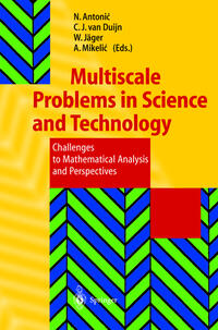 Vorderes Coverbild Multiscale Problems in Science and Technology