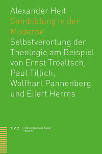 Vorderes Coverbild Sinnbildung in der Moderne