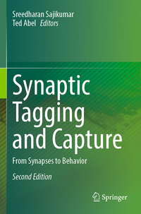 Vorderes Coverbild Synaptic Tagging and Capture