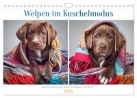 Vorderes Coverbild Welpen im Kuschelmodus - Herzerwärmende kleine Labrador Retriever (Wandkalender 2025 DIN A4 quer), CALVENDO Monatskalender