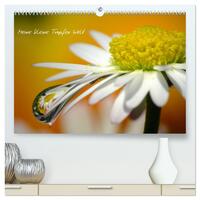 Vorderes Coverbild Kalender (hochwertiger Premium Wandkalender 2025 DIN A2 quer), Kunstdruck in Hochglanz