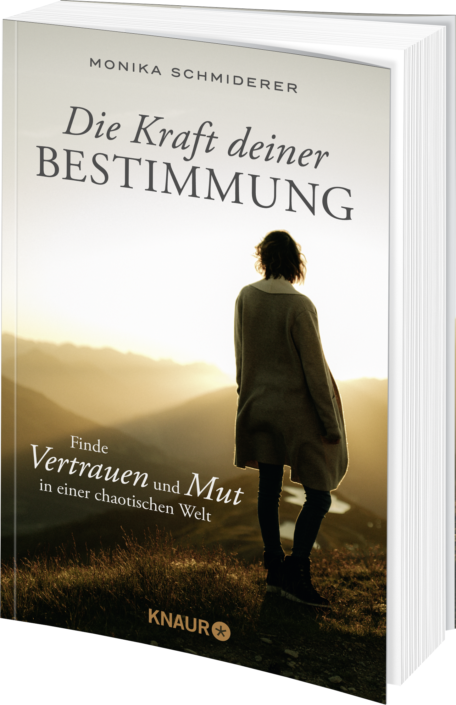 Anderes Coverbild Die Kraft deiner Bestimmung