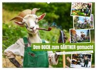 Vorderes Coverbild Den Bock zum Gärtner gemacht (Wandkalender 2026 DIN A2 quer), CALVENDO Monatskalender