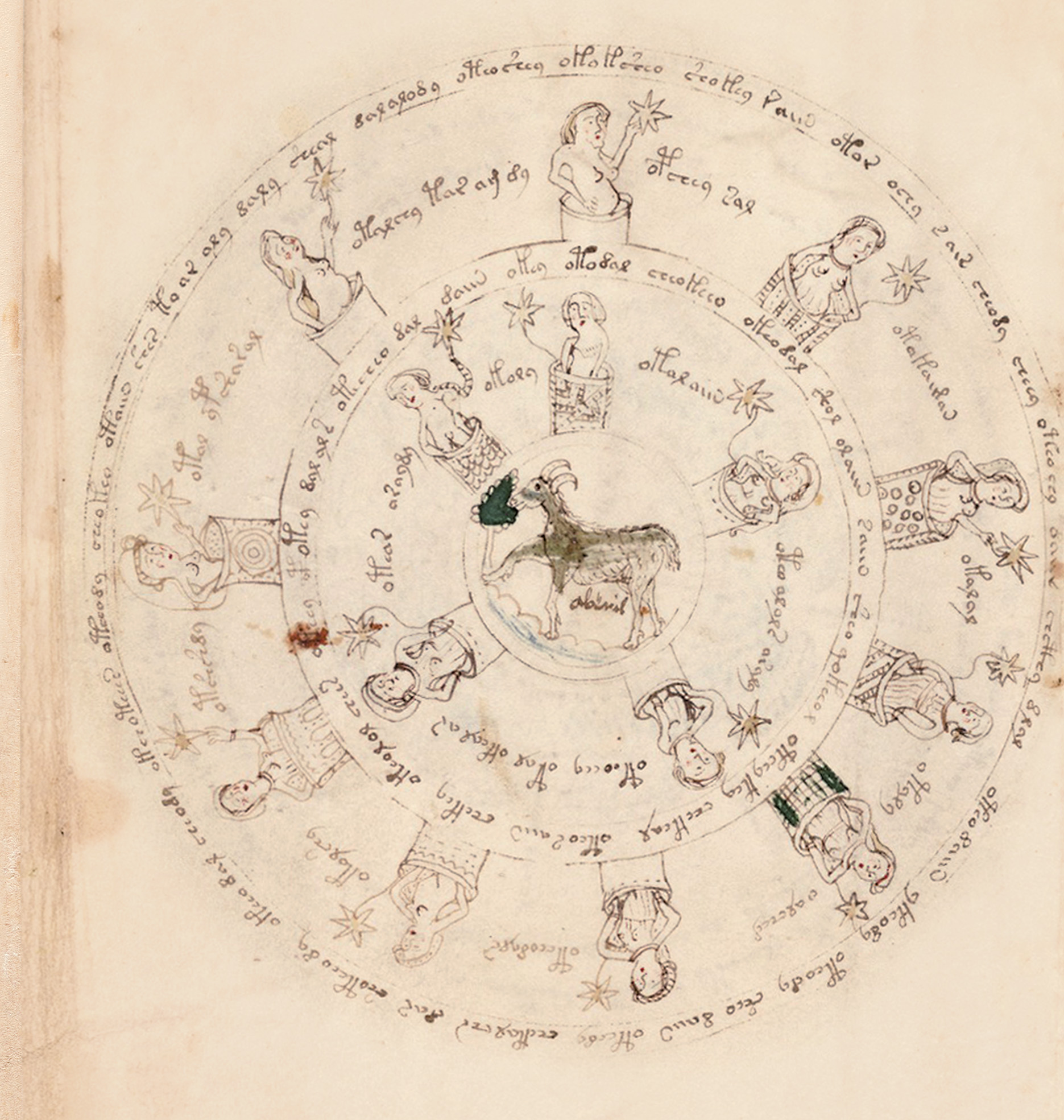 Beispielinhalt (Bild) Vorzugsausgabe: Das Voynich Manuskript