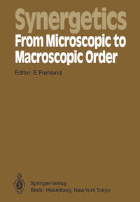 Vorderes Coverbild Synergetics — From Microscopic to Macroscopic Order