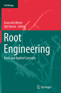 Vorderes Coverbild Root Engineering