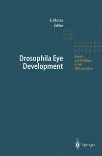Vorderes Coverbild Drosophila Eye Development