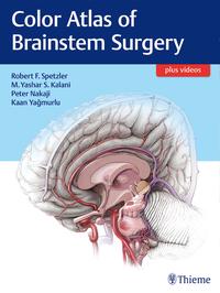 Vorderes Coverbild Color Atlas of Brainstem Surgery