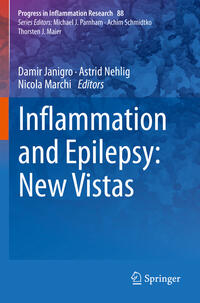 Vorderes Coverbild Inflammation and Epilepsy: New Vistas