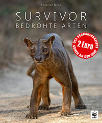 Vorderes Coverbild Survivor
