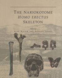 Vorderes Coverbild The Nariokotome Homo Erectus Skeleton