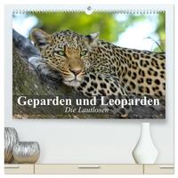 Vorderes Coverbild Die Lautlosen. Geparden und Leoparden (hochwertiger Premium Wandkalender 2025 DIN A2 quer), Kunstdruck in Hochglanz