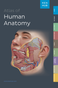 Vorderes Coverbild Kenhub Atlas of Human Anatomy