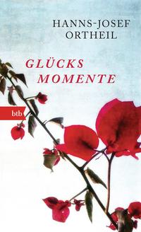 Vorderes Coverbild Glücksmomente