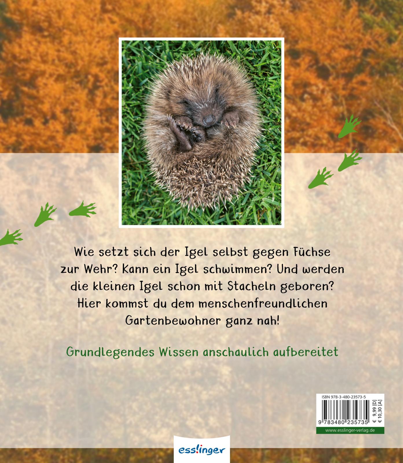 Rückseitencover Meine große Tierbibliothek: Der Igel