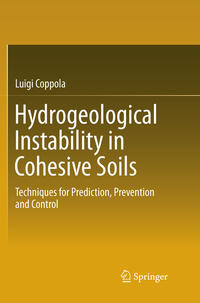 Vorderes Coverbild Hydrogeological Instability in Cohesive Soils