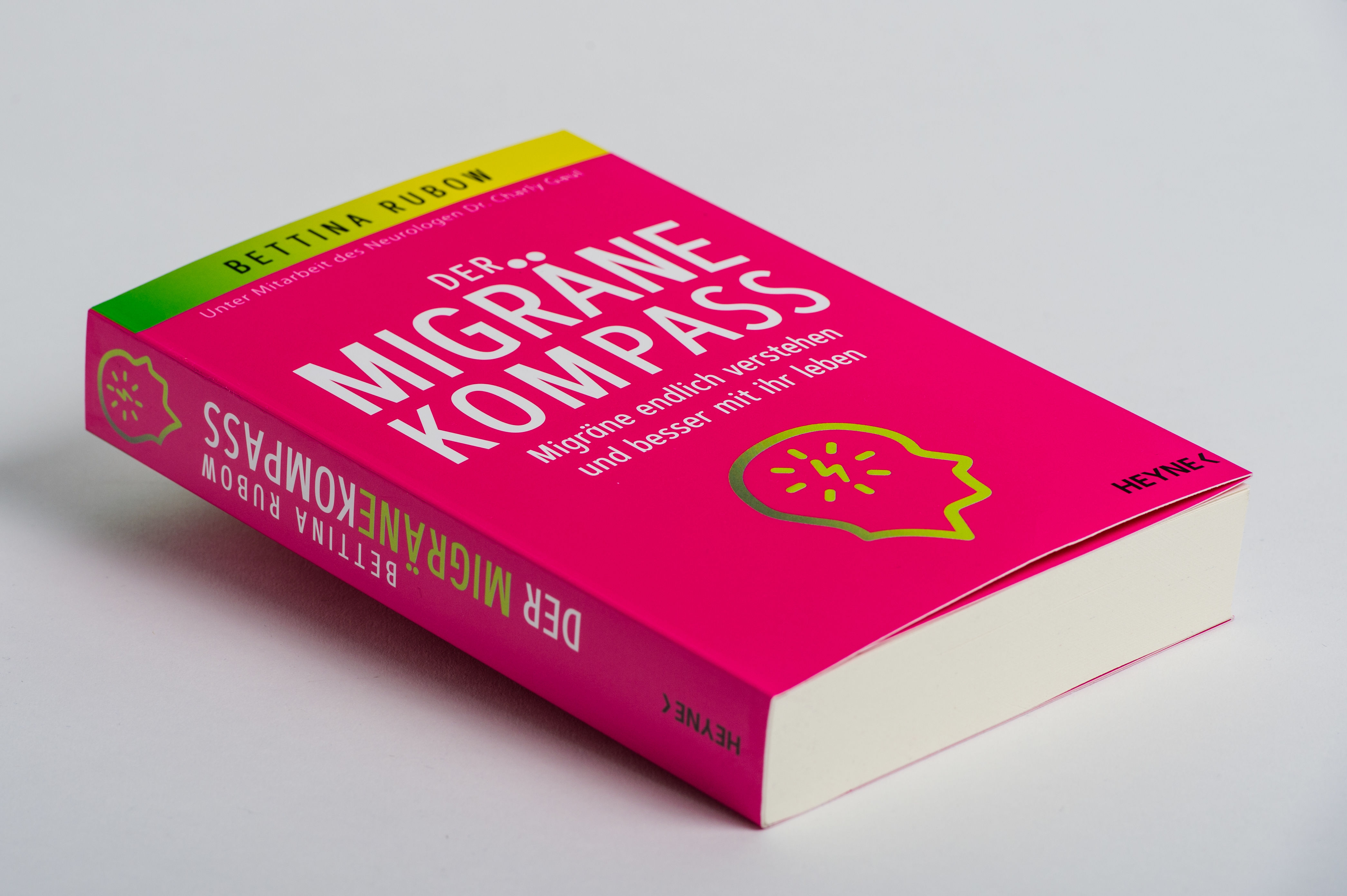 Beispielinhalt (Bild) Der Migräne-Kompass