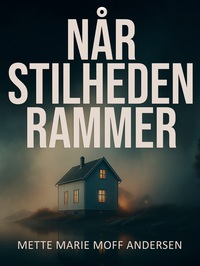 Vorderes Coverbild Når stilheden rammer