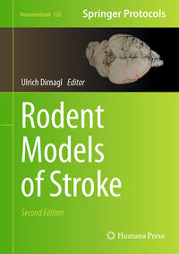 Vorderes Coverbild Rodent Models of Stroke