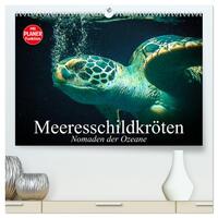 Vorderes Coverbild Meeresschildkröten. Nomaden der Ozeane (hochwertiger Premium Wandkalender 2025 DIN A2 quer), Kunstdruck in Hochglanz