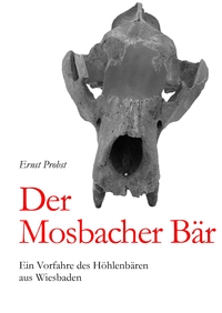 Vorderes Coverbild Der Mosbacher Bär