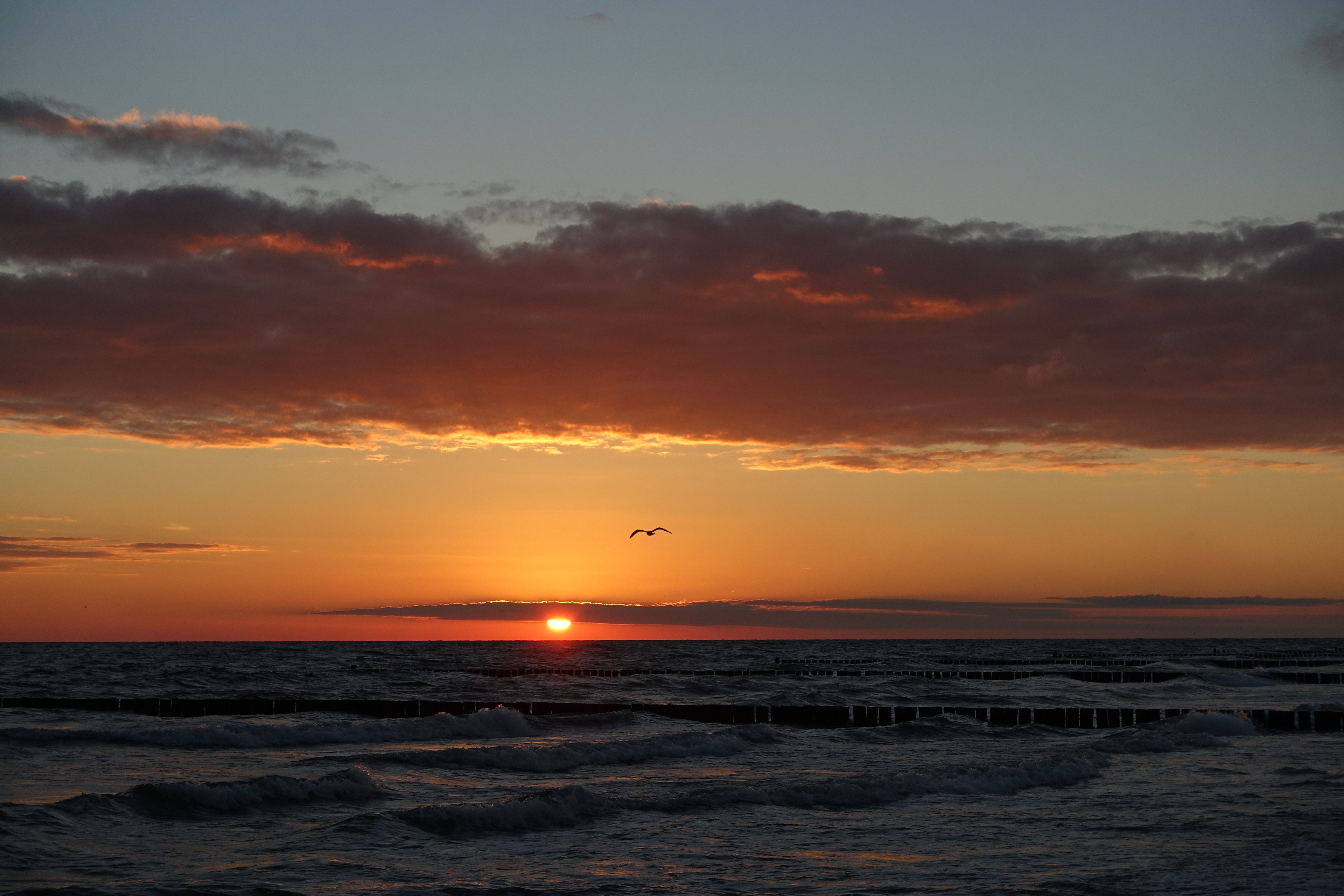 Gesamtes Coverbild Liebe, Triebe, Ostseestrand...