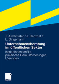 Vorderes Coverbild Unternehmensberatung im öffentlichen Sektor
