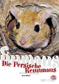 Vorderes Coverbild Die Persische Rennmaus