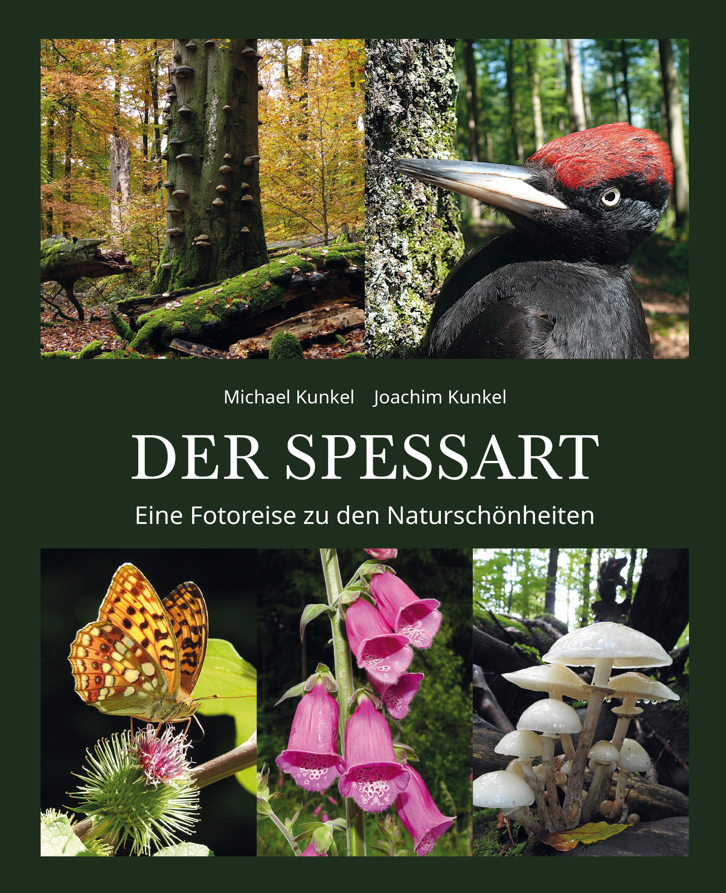 Anderes Coverbild DER SPESSART