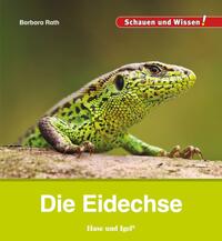 Vorderes Coverbild Die Eidechse