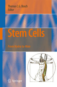 Vorderes Coverbild Stem Cells