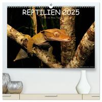 Vorderes Coverbild REPTILIEN (hochwertiger Premium Wandkalender 2025 DIN A2 quer), Kunstdruck in Hochglanz