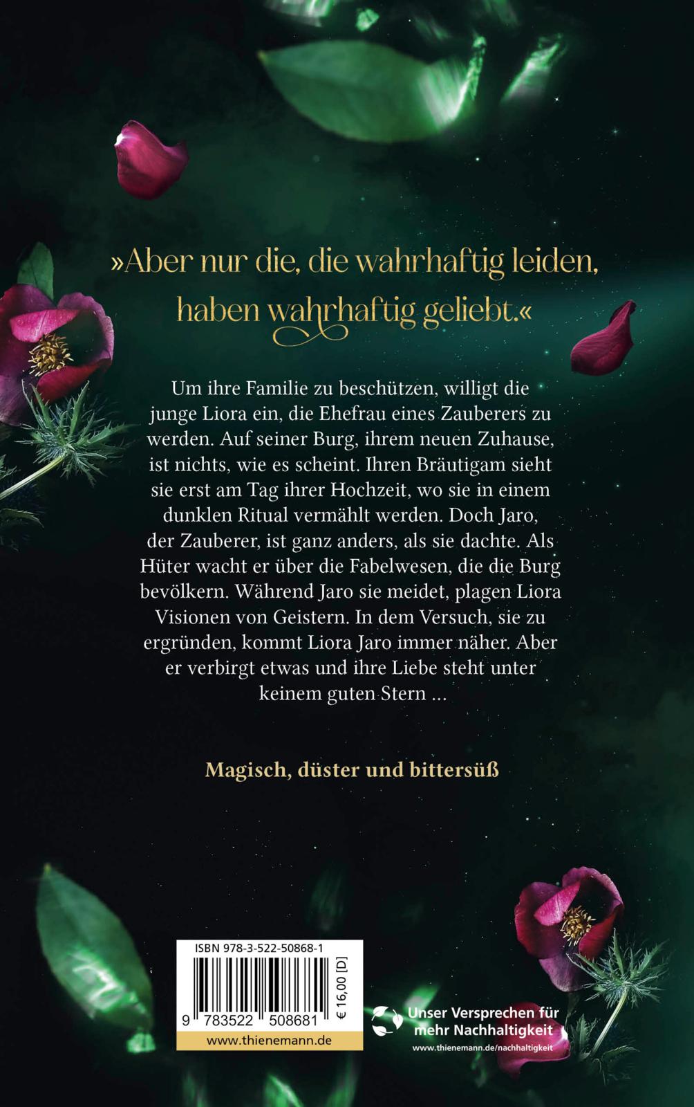 Rückseitencover How to Seduce a Sorcerer