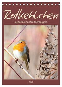 Vorderes Coverbild Rotkehlchen, süße kleine Knutschkugeln (Tischkalender 2025 DIN A5 hoch), CALVENDO Monatskalender