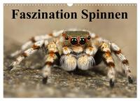 Vorderes Coverbild Faszination Spinnen (Wandkalender 2025 DIN A3 quer), CALVENDO Monatskalender