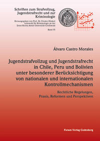 Vorderes Coverbild Jugendstrafvollzug und Jugendstrafrecht in Chile, Peru und Bolivien unter besonderer Berücksichtigung von nationalen und internationalen Kontrollmechanismen