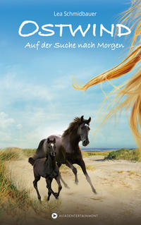 Vorderes Coverbild Ostwind - Auf der Suche nach Morgen