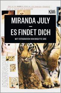 Vorderes Coverbild Es findet dich