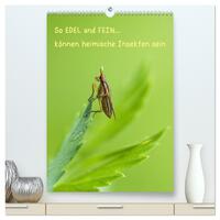 Vorderes Coverbild So EDEL und FEIN... können heimische Insekten sein (hochwertiger Premium Wandkalender 2025 DIN A2 hoch), Kunstdruck in Hochglanz
