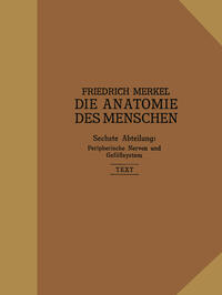 Vorderes Coverbild Peripherische Nerven, Gefäßsystem