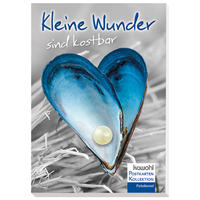Vorderes Coverbild Kleine Wunder sind kostbar