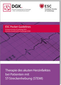 Vorderes Coverbild Therapie des akuten Herzinfarktes bei Patienten mit persistierender ST-Streckenhebung