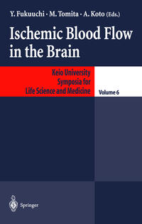 Vorderes Coverbild Ischemic Blood Flow in the Brain