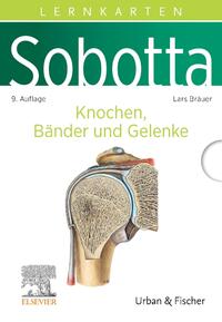 Vorderes Coverbild Sobotta Lernkarten Anatomie: Knochen, Bänder und Gelenke