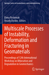 Vorderes Coverbild Multiscale Processes of Instability, Deformation and Fracturing in Geomaterials